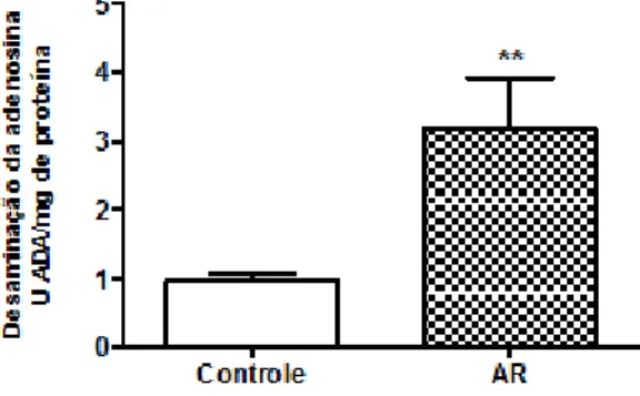 Figura 3 – Atividade da E-ADA em soro de ratos submetidos a modelo experimental de artrite