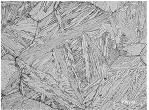 Figura  3.2.1.1  –  Micrografia  da  liga  Fe-31Ni-0,02C  após  ataque  em  Nital  5% 