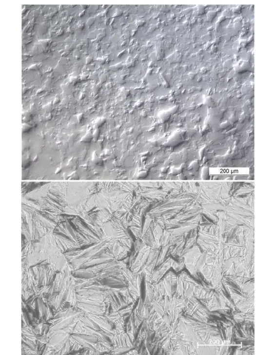 Figura 2.2 – Superfície de uma amostra austenítica (a) e uma martensítica (b)  após  polimento