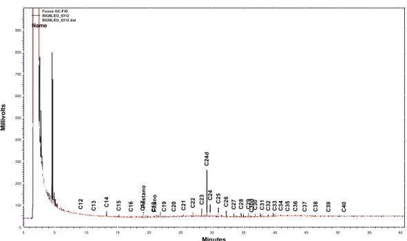 Figura 2 – Cromatograma de uma das amostras de água com o perfil dos n-alcanos. 