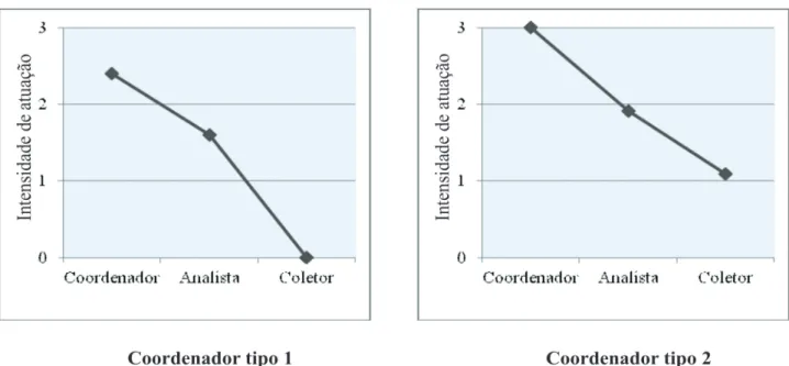 Figura 5 –  Perfil de atuação do profissional brasileiro Coordenador de IC.