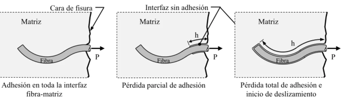 Figura 12: Perdida de adhesión en fibra - Etapa pre-deslizamiento.