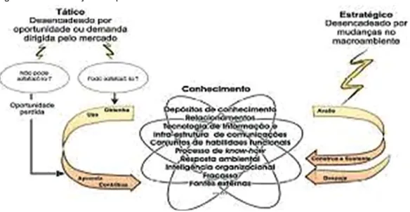 Figura 4 – Estruturação dos processos de GC