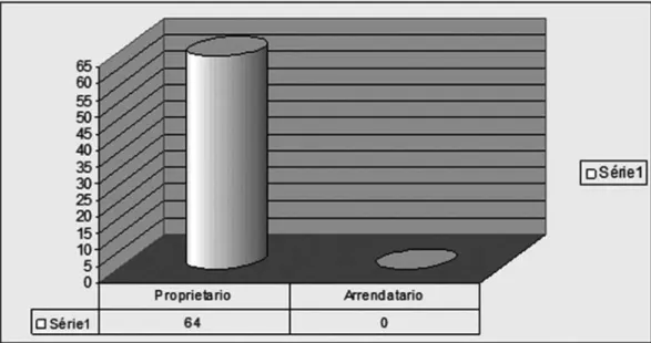 Gráfico 3: Domínio da propriedade