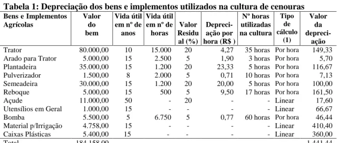 Tabela 1: Depreciação dos bens e implementos utilizados na cultura de cenouras 
