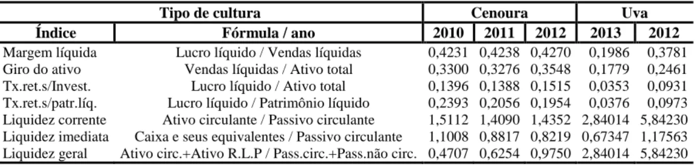 Tabela 14: Índices (rentabilidade, retorno, giro e liquidez) das culturas de cenouras e de  uvas 