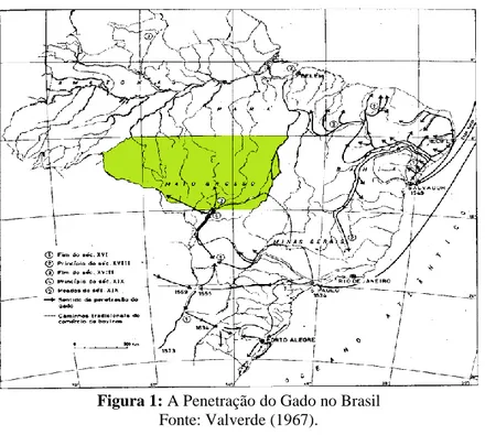 Figura 1: A Penetração do Gado no Brasil  Fonte: Valverde (1967). 