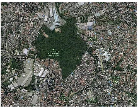 Figura 1 – Vista aérea do PNM Bosque da Freguesia 