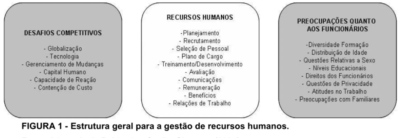 FIGURA 1 - Estrutura geral para a gestão de recursos humanos. 