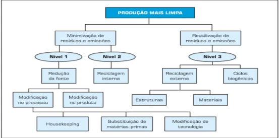 Figura 2: Escopo da metodologia da P+L. 