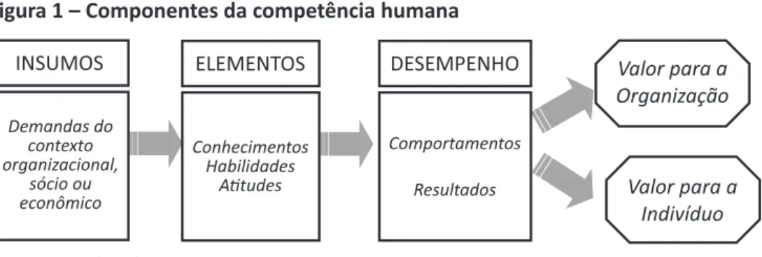 Figura 1 – Componentes da competência humana