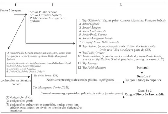 Figura 2: Esquema-tipo de designações mais comuns para os Senior Managers