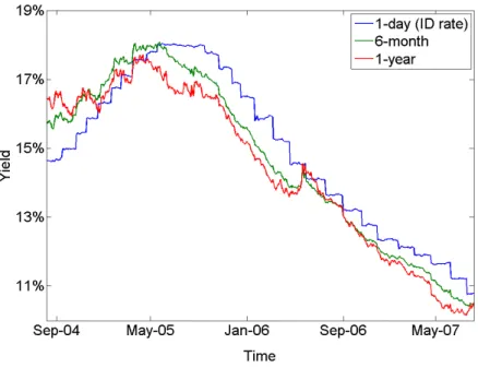 Figure 1: The term structure of Brazilian interest rates.