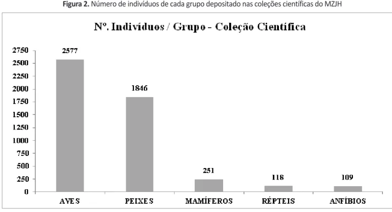 Figura 2. Número de indivíduos de cada grupo depositado nas coleções científicas do MZJH