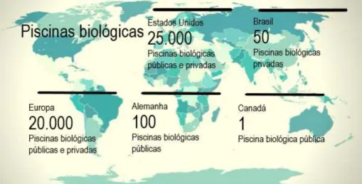 Figura 6. Imagem ilustrativa da quantidade aproximada de piscinas biológicas em  algumas partes do mundo