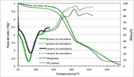 Gráfico 1. Resultados de TGA e DSC. 