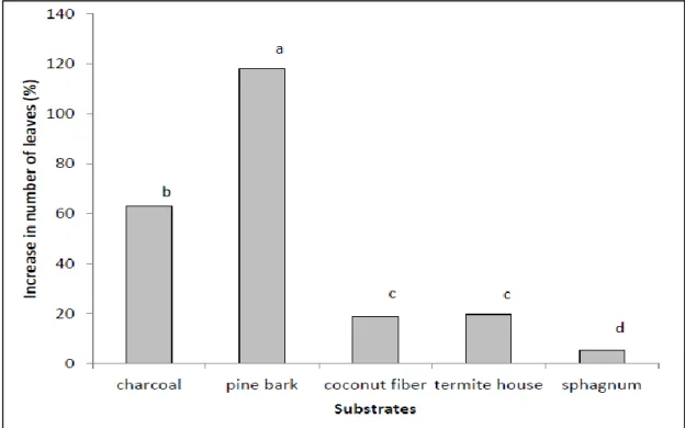 Figure  2  -  Percentages  of  increase  in  number  of  leaves  in  Epidendrum  ibaguense  plantlets  after  60  days  of  acclimatization  in  different  substrates