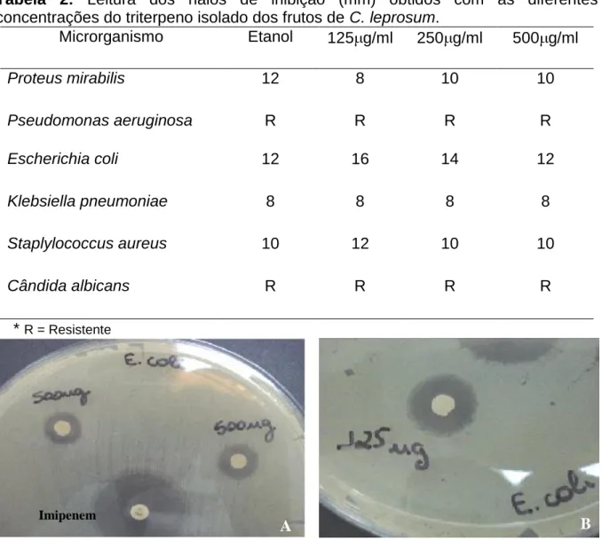 Figura 1: Placas com discos contendo o extrato etanólico isolado de C. leprosum e o microrganismo- microrganismo-teste E