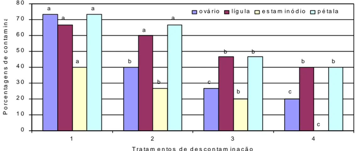 Figura 1. Porcentagens de contaminação de explantes florais de cupuaçu em meio sem utilização de antibiótico,  imersos  em  hipoclorito  de  sódio  a  diferentes  concentrações  e  períodos de  imersão.