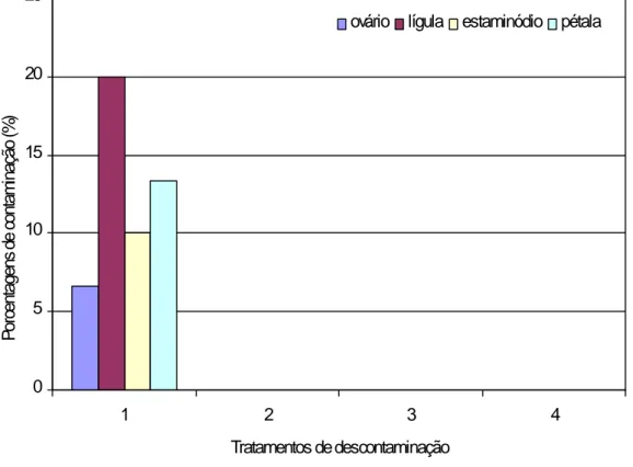 Figura  2.  Porcentagens  de  contaminação  de  explantes  florais  de  cupuaçu  em  meio com  utilização de  antibiótico,  imersos  em  hipoclorito  de  sódio  a  diferentes  concentrações  e  períodos  de  imersão.