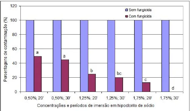 Figura  1.  Porcentagens  de  contaminação  de  explantes  radiculares de  bacurizeiro em  relação  às diferentes  concentrações  e  períodos  de  imersão  em  hipoclorito  de  sódio,  com  e  sem  utilização  de fungicida
