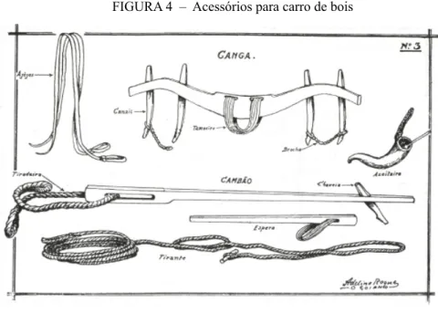 FIGURA 4  –  Acessórios para carro de bois