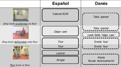 Figura 9: Categorías diferentes en español y danés: 
