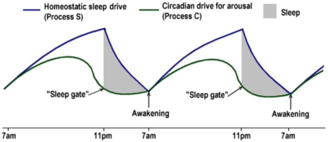 Figure 1 .: The two-model process of sleep regulation: synchronized interaction between process S and C [ 2 ].