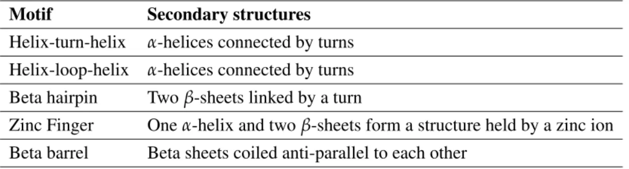 Table 1.2: List of common protein motifs and the secondary structures that form them. Adapted from [2]