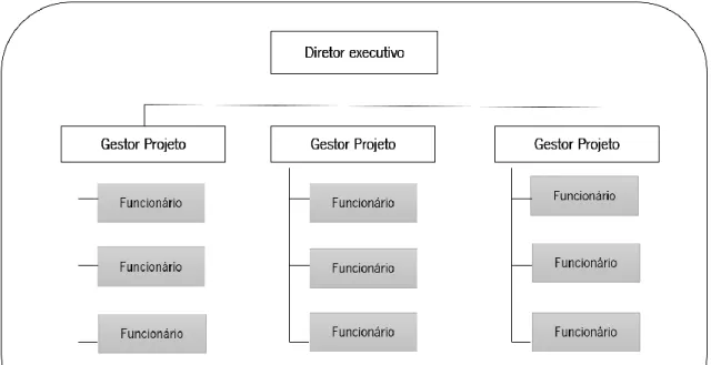 Figura 3: Organização orientada por projetos   (PMI, 2013) 