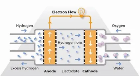 Figure 2.10 - Reactions and products of a proton exchange membrane fuel cell [12]. 