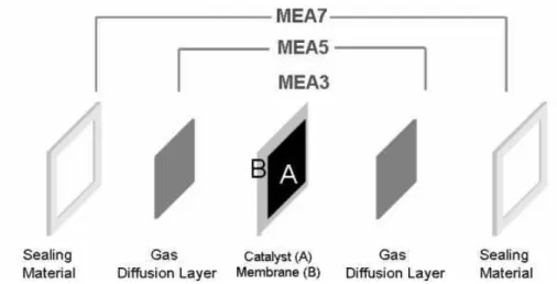 Figure 3.2 – Composition of the MEA [37]. 