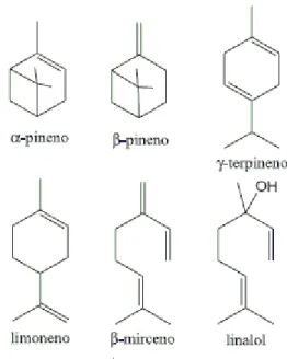 Figura 1  –  Principais constituintes do óleo essencial de limão (adaptado de Guenther, 1948)