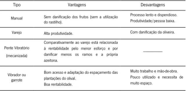 Figura 7 – Máquina automotriz em olival intensivo. Equipamento agrupado a um trator agrícola (Coutinho et al., 2009).