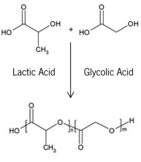 Figure 2.1 – Chemical structure of PLGA and its monomers. Image adapted from Gentile  et al