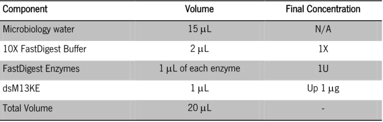 Table  4  –  Standard  mixture  for  double  digestion  of  dsM13KE  samples  with  Acc65I  and  EagI  from  Thermo Scientific 