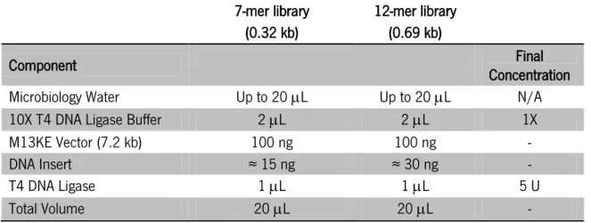 Table 7 – Ligation reaction mixture for M13KE::7-mer and M13KE::12-mer libraries construction 