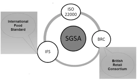 Figura 5. Evolução do SGSA pelos vários países (Adaptado de BRC Academia VLM). 