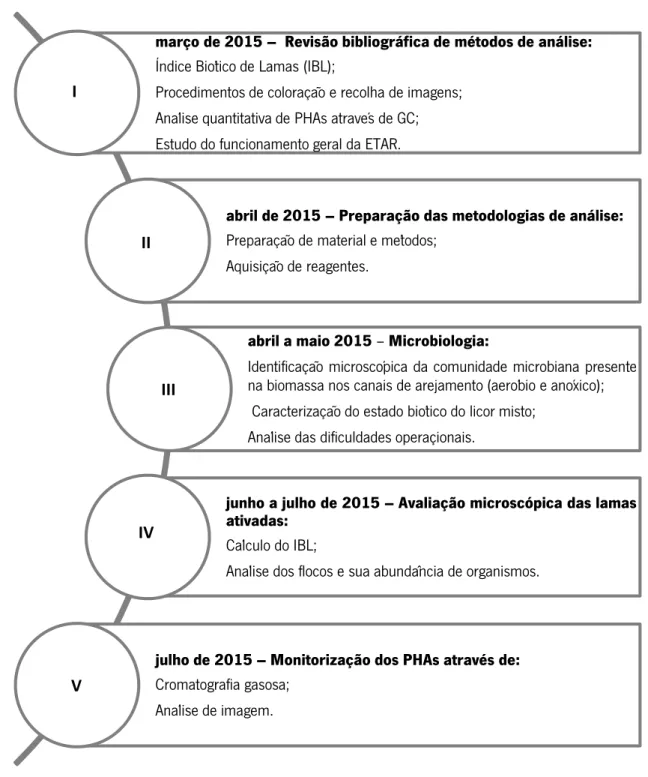 Figura 3.1 – Planificação do trabalho de estágio representada em 5 etapas. 