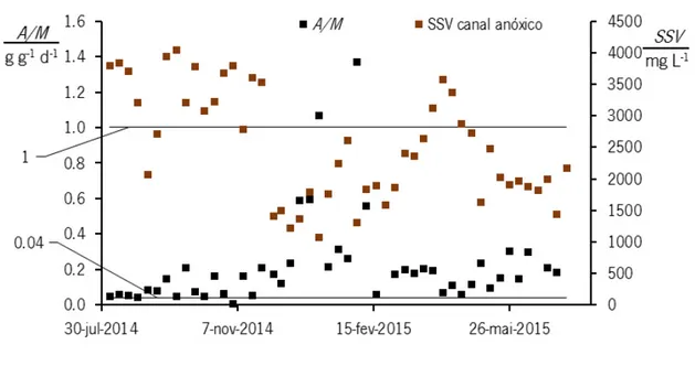 Figura 4.7 – Resultados de um ano de monitorização com amostragem semanal do canal anóxico