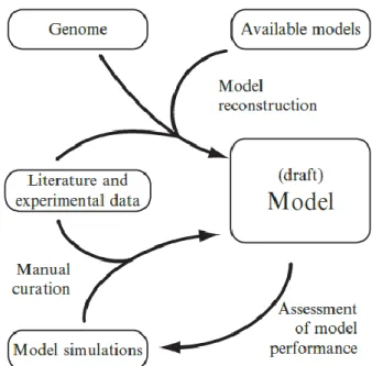 Figure 2.1 - Overview of the process of a genome-scale metabolic model reconstruction  and iterative refinement cycle