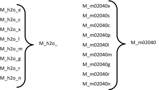 Figure 4.1 - A group of species entries is transformed into a metabolite entry. Recon 2  on the left side and HMR2.0 on the right side