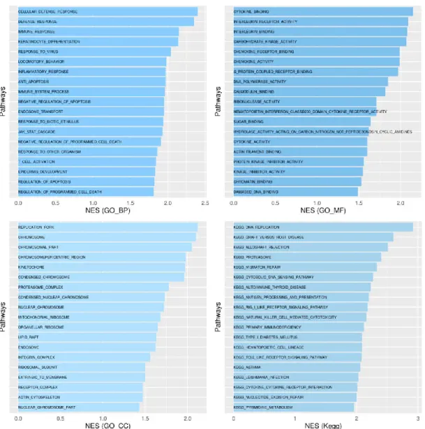 Figure 8. GSEA results for CESC when comparing infected and non-infected samples and using the Gene Ontology Biological  Process (GO_BP), Molecular Function (GO_MF) and Cellular Component (GO_CC), and the KEGG references lists