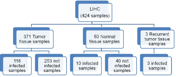 Figure 9. RNAseq samples distribution through tissue type and infection results in samples from LIHC cancer