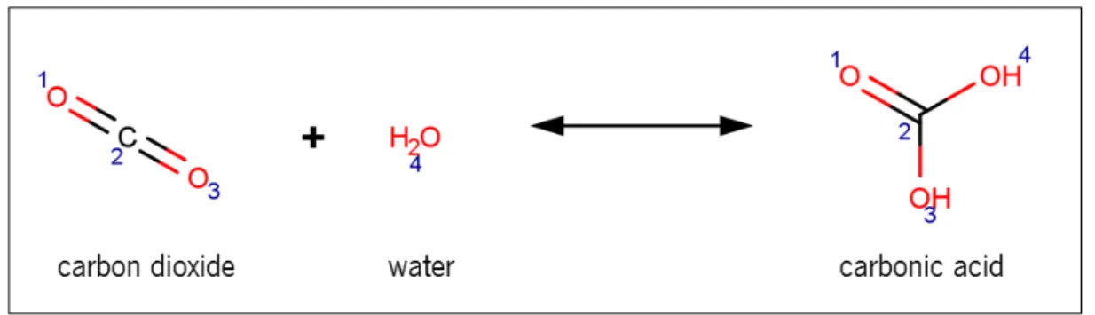 Figure 19 : Reaction EC 4.2.1.1 - carbonate dehydratase. It was obtained through MarvinSketch prod- prod-uct.