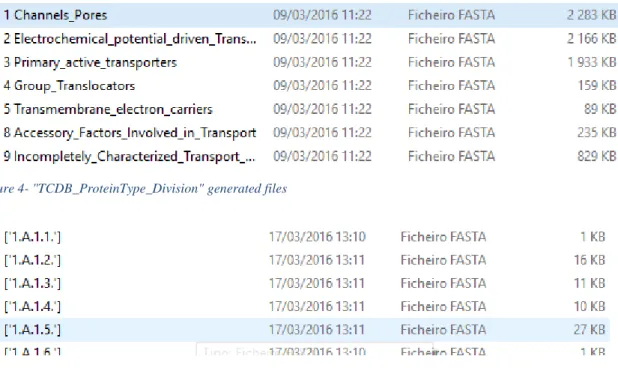 Figure 4- "TCDB_ProteinType_Division" generated files