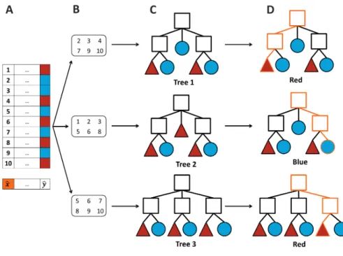 Figure 3.6: Example of a random forest classification.