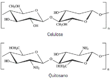 Figura 3 - Representação esquemática da estrutura primária da celulose e do quitosano, sendo n o grau de  polimerização (Retirada de Assis et al., 2003)