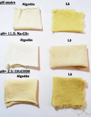 Figura 22 - Substratos de algodão e lã coloridos com malmequer-bravo a diferente pH. 