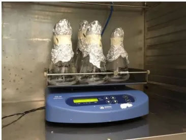Figura 14- Erlenmeyers de teste em incubadora (Binder) a 37 °C sob agitação a 150 rpm.